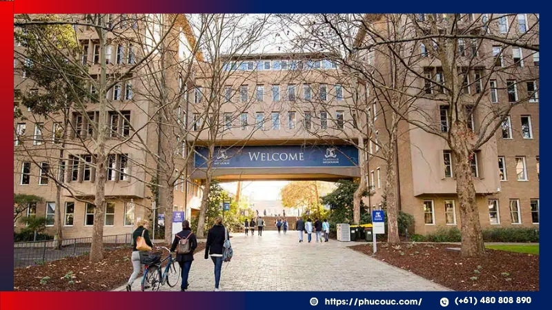 Kết hợp trường nhỏ và trường lớn giúp tối ưu chi phí và bằng cấp