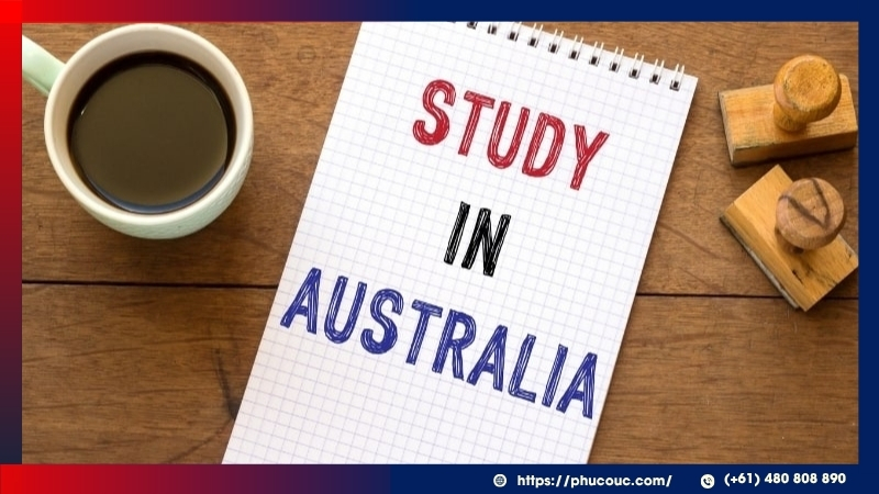 Lộ trình học tập chi tiết giúp chứng minh bạn có định hướng thực tế và nghiêm túc